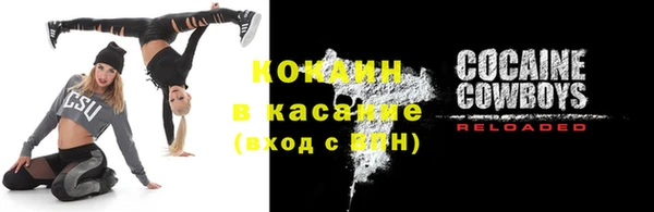 прущие грибы Аркадак