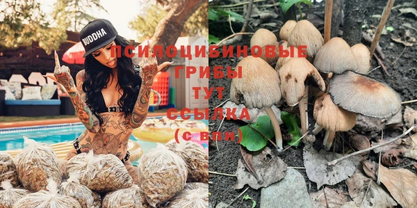 МДПВ Балахна